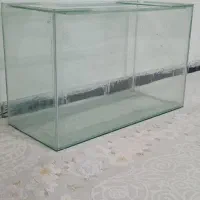 آکواریوم|ماهی|خرم‌آباد, |دیوار