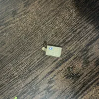 پلاک وگوشواره