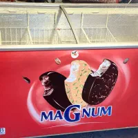 فریزر صندوقی ۶۰۰ لیتری( یخچال بستنی )