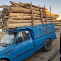 خرید انواع چوب|خدمات باغبانی و درختکاری|اراک, |دیوار