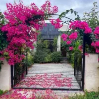 170متر-فلت-شیک-و-نقلی-اقساط-بلندمدت-منطقه-برند