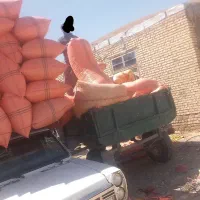 .کاه خرمن‌کوب