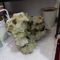 لوازم آکواریوم ماهی صخره طبیعی|ماهی|قزوین, |دیوار