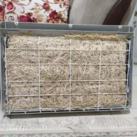 کولر ایستاده آبسال AC26|کولر آبی|فولادشهر, C1|دیوار