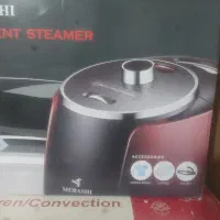 اتو بخار ایستاده