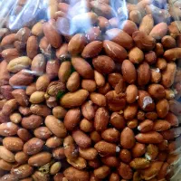 بادام زمینی