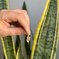 پلاک کادویی|جواهرات|تهران, شهرک ولیعصر جنوبی|دیوار