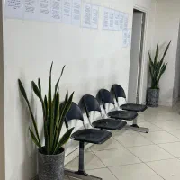 منشی سونوگرافی خانم لیسانس