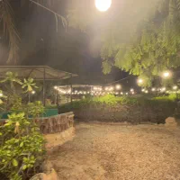 ریسه (ریسه نور)|ریسه و چراغ تزئینی|کیش, |دیوار