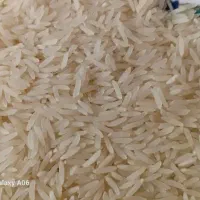 برنج فجر سوزنی 90روزه بوجاری