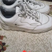 کیف کفش مفت|کیف، کفش، کمربند|نیشابور, مازول|دیوار