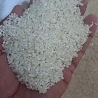 برنج پاکستانی تامیما