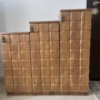 جاکفشی