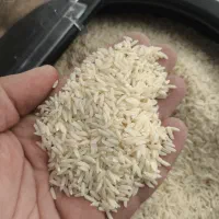 برنج هاشمی سورتینگ شده|خوردنی و آشامیدنی|رضوانشهر, |دیوار