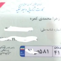 کارت وسیله نقلیه پیدا شده