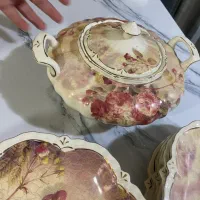 ظروف پذیرایی لمونژ