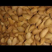 گیاهی