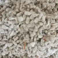 پنبه دانه اصل تمیز