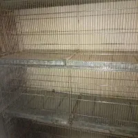 قفس طبقاتی محکم