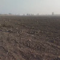 اجاره زمین کشاورزی