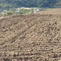 فروش زمین در روستای سوسرا|فروش زمین و ملک کلنگی|نوده خاندوز, |دیوار