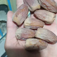 خرما مجول وپیارم|خوردنی و آشامیدنی|فسا, |دیوار