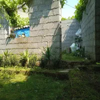 زمین