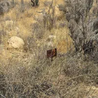 زمین باغ شهری