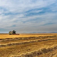 زمین کشاورزی