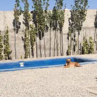 فروش باغچه ۲۵۰ تا ۳۰۰ متری در انجم آباد|فروش خانه و ویلا|رباطکریم, انجم آباد|دیوار