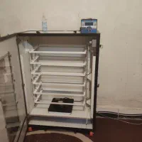 دستگاه جوجه کشی فاخته|ماشینآلات صنعتی|دهدشت, |دیوار