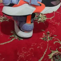 پوتین اورجینال برند لندور نونو|کیف، کفش، کمربند|رباط‌کریم, رباط‌کریم|دیوار