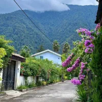 ویلا دوبلکس سند تک برگ با ویوی ابدی|فروش خانه و ویلا|رویان, |دیوار