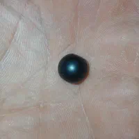 جفت سنگ قدیمی یشم معدنی اصل فروش فوری|جواهرات|شاهینشهر, گزبرخوار|دیوار