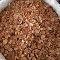 خرید تناژی پوست پسته