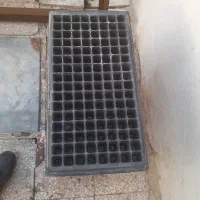 سینی کشت نشا ۱۲۸ تایی