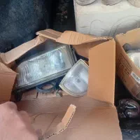 درحد نو کره ای