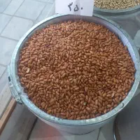 فروشگاه خشکبار و حبوبات و برنج و شکلات|خوردنی و آشامیدنی|زنجان, |دیوار