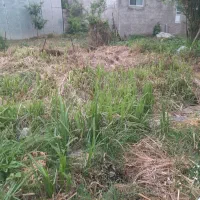 زمین شکاری 124 متری