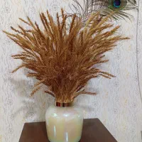 گلدان و گندم با دو عدد پر طاووس|صنایع دستی و سایر لوازم تزئینی|مشهد, ابوذر|دیوار