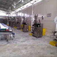 سرمایه گذاری در تولیدی صادراتی