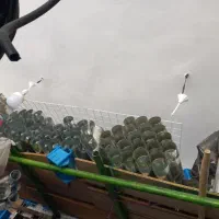 فروش لوله بخاری