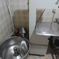فروش چرخ گوشت و هم زن