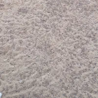 کود گوسفند رایگان