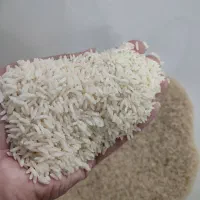 برنج اصل هاشمی بوجاری شده