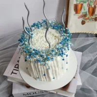 کیک خانگی (دالی کیک)|خوردنی و آشامیدنی|مشهد, امیریه|دیوار