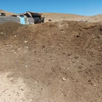 کود پوسیده گوسفندی