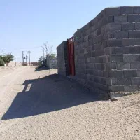 25قصب زمین کشاورزی|فروش زمین و ملک کلنگی|زید آباد, |دیوار