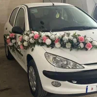 ۲۰۶ تیپ ۲ مدل ۱۴۰۰