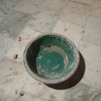 تعدادی جاتخمی کبوتر